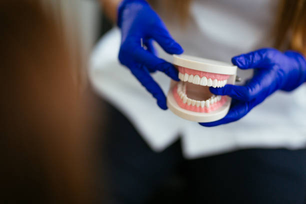 Professional Holistic Dental Care Services in Lake Wynonah, PA